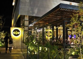10 Best Places to Go Out at Night in Mar del Plata