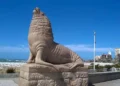 The Sea Lions of Mar del Plata: An Icon of the City