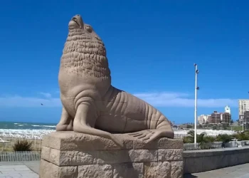 The Sea Lions of Mar del Plata: An Icon of the City