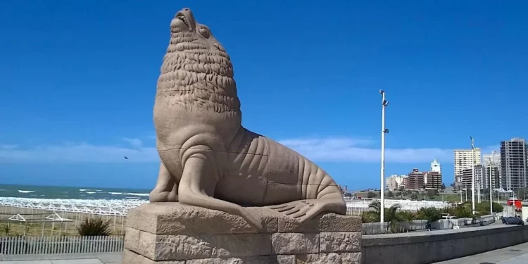 The Sea Lions of Mar del Plata: An Icon of the City