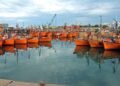 Mar del Plata’s Port: Where the City Meets the Sea