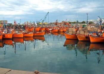 Mar del Plata’s Port: Where the City Meets the Sea