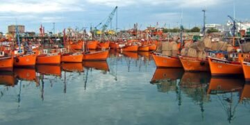 Mar del Plata’s Port: Where the City Meets the Sea