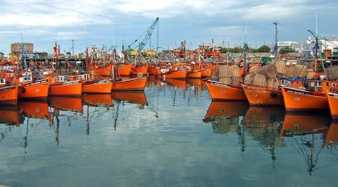 Mar del Plata’s Port: Where the City Meets the Sea